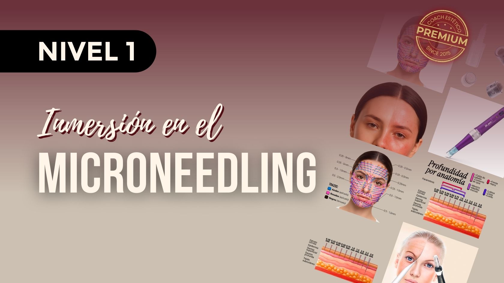 Portada del Nivel I: Inmersión en el microneedling